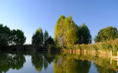 DSCF4195