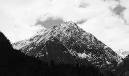 DSCF2331