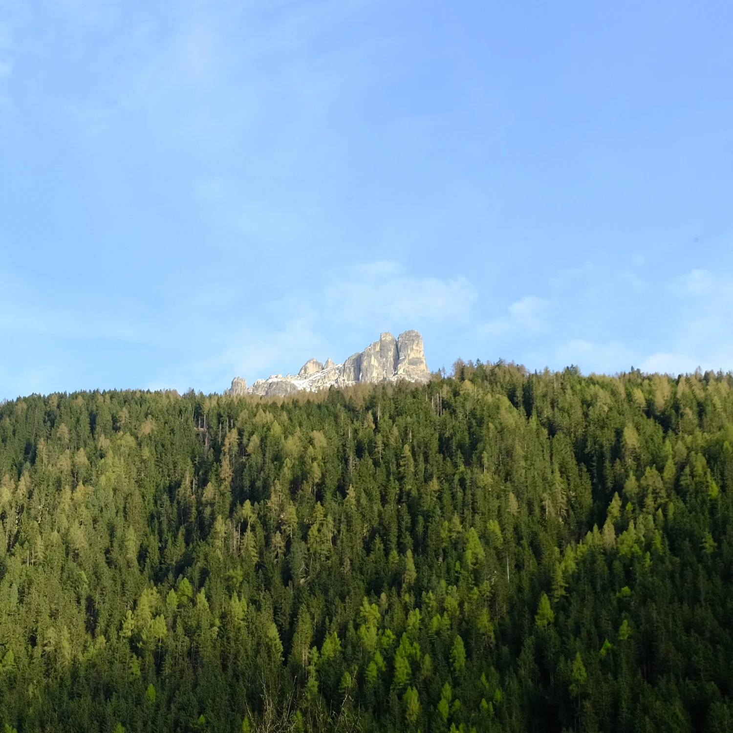 DSCF2082
