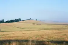 000135220027