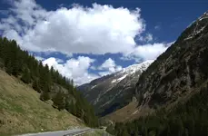 DSCF2411