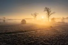 Łąki nad Nerem koło Lutomierska