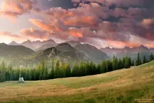 Rusinowa polana