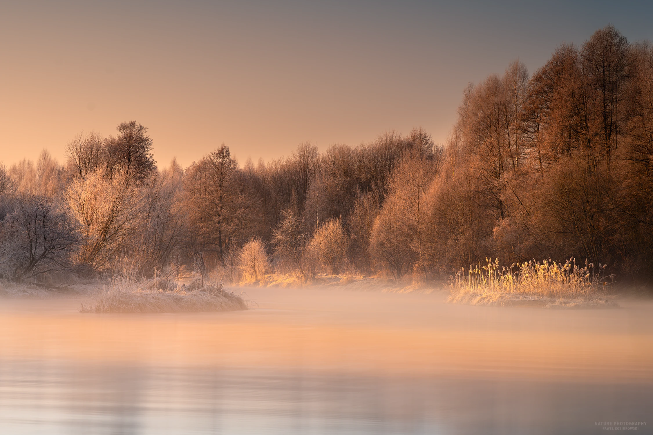 Poranek nad Pilicą