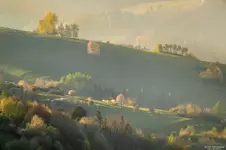 Poranek