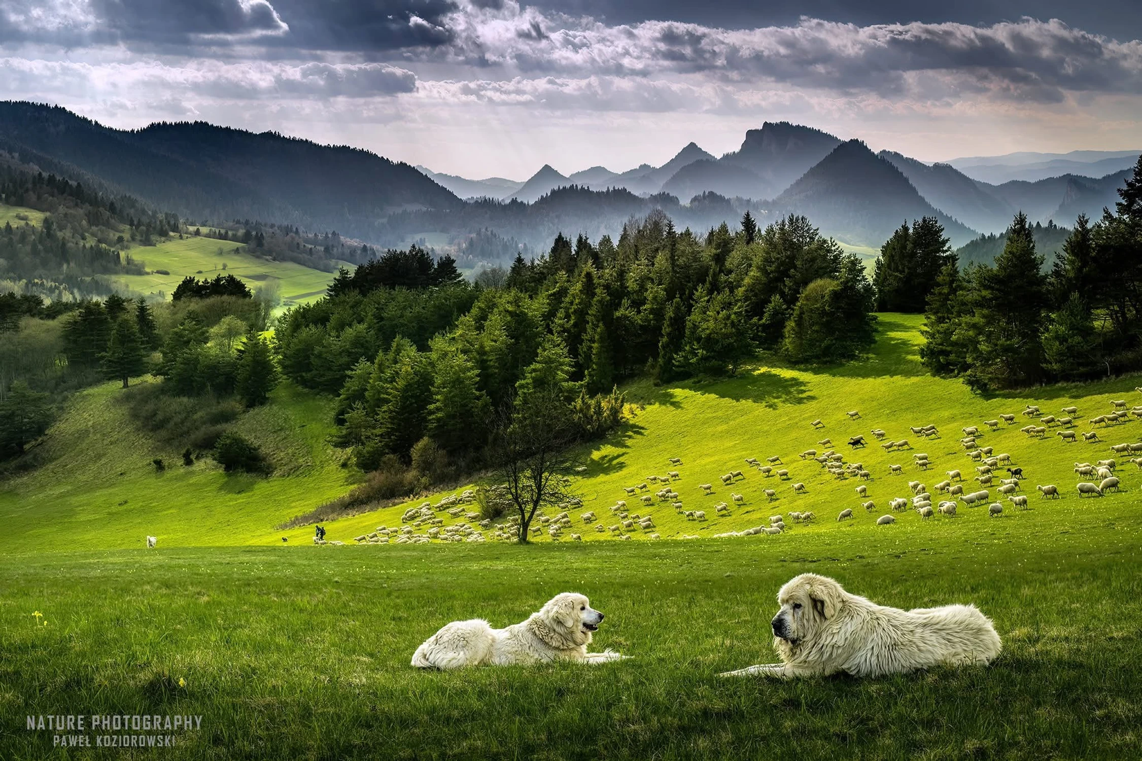 Małe Pieniny