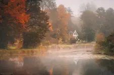 Białowieża