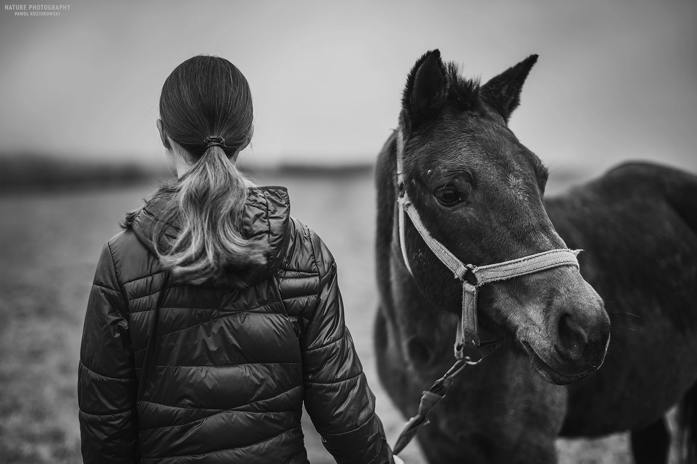 Początki znajomości 