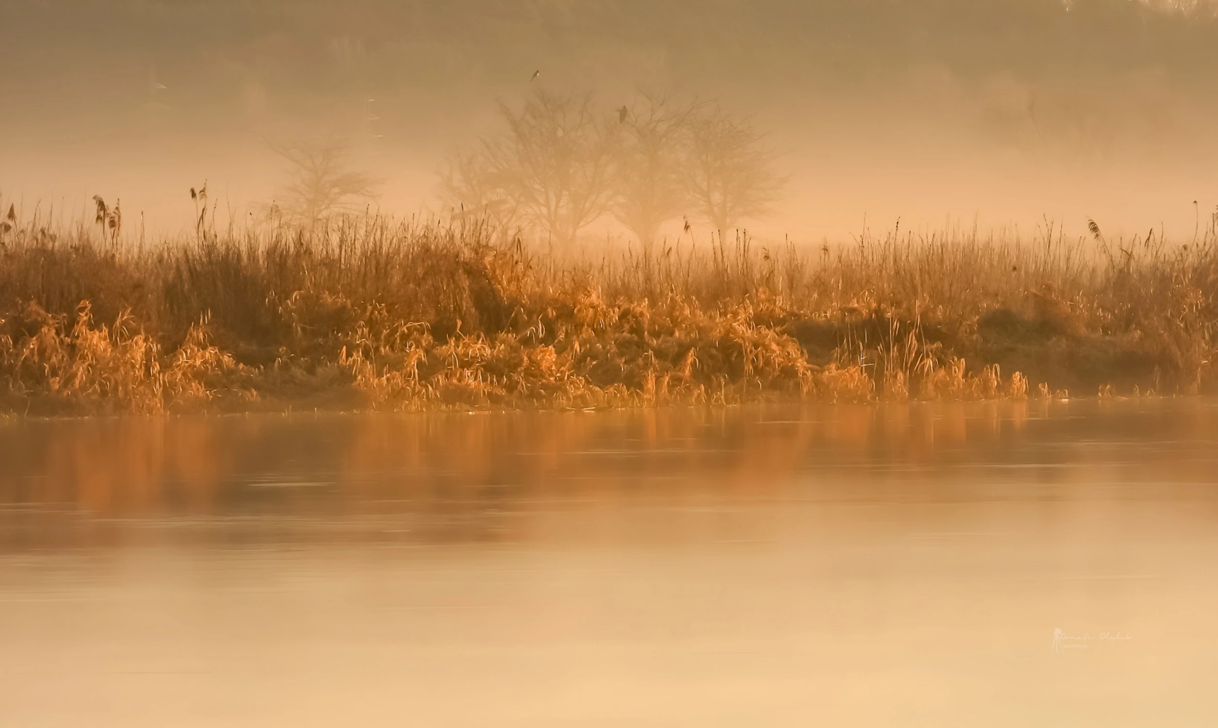 Klimatyczny poranek nad Wartą