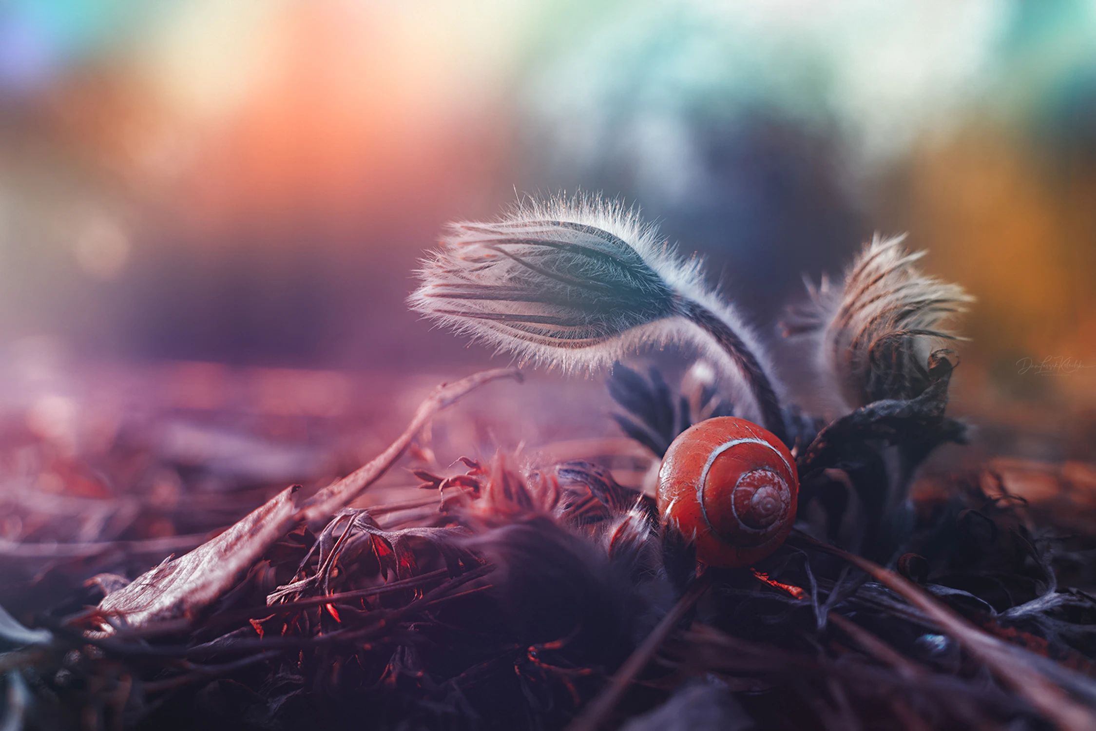 March afternoon.......