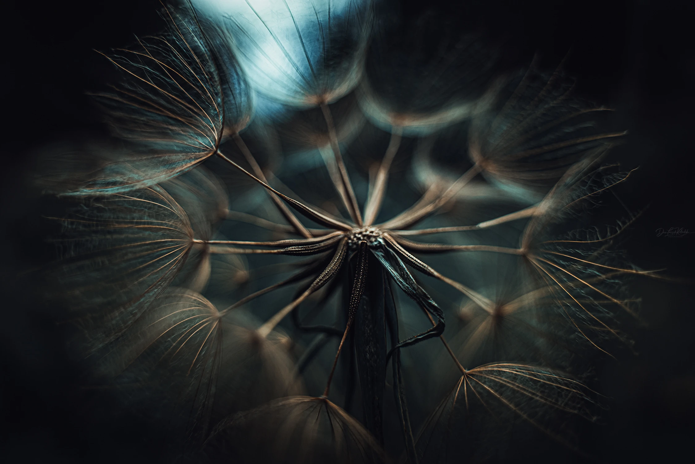 The Weaver of Dreams....