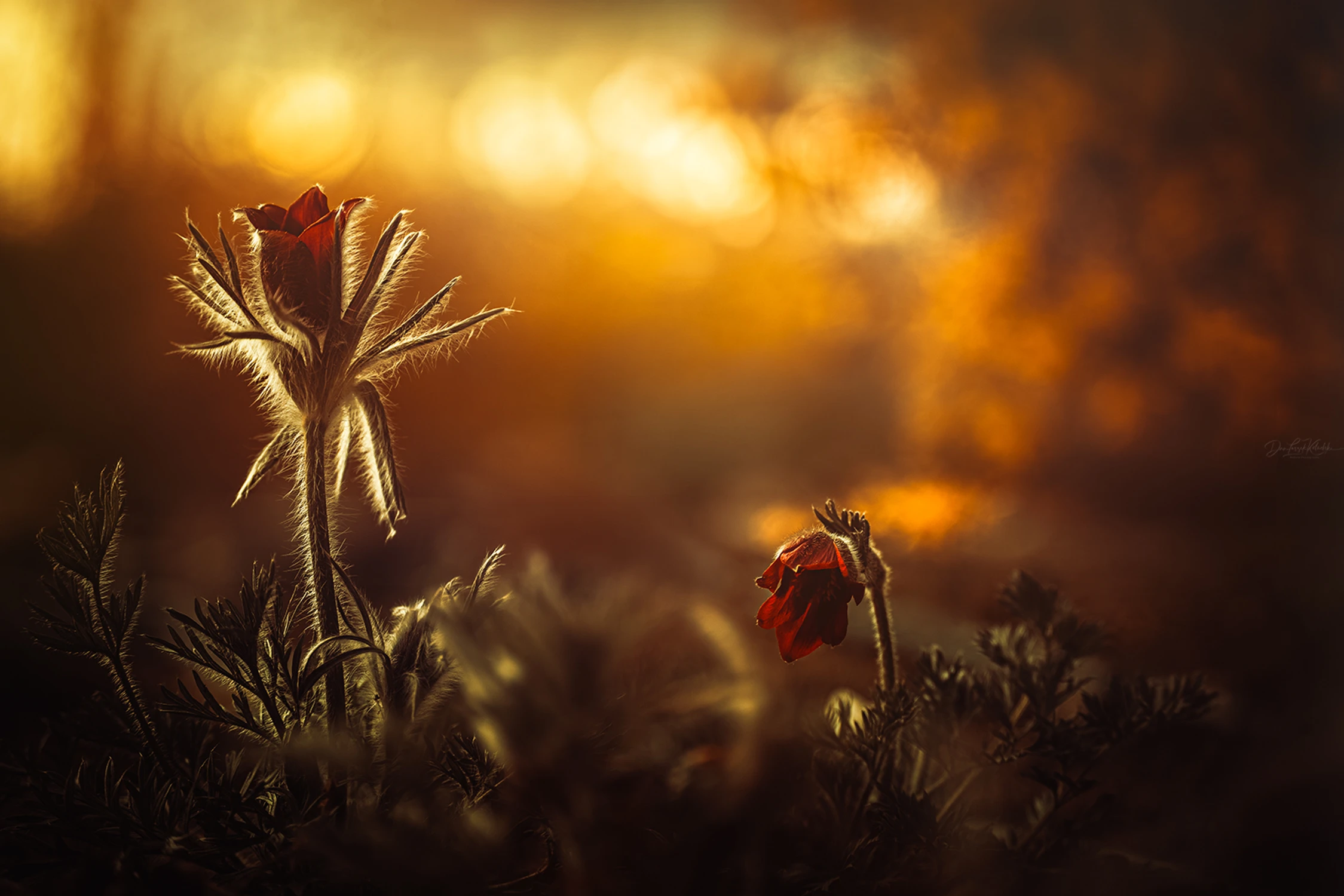 March afternoon...(2)