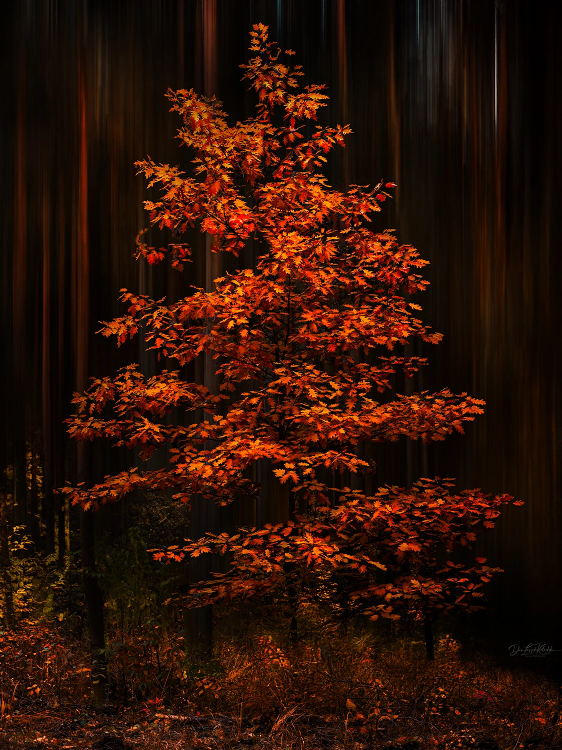 on a sunny October day....