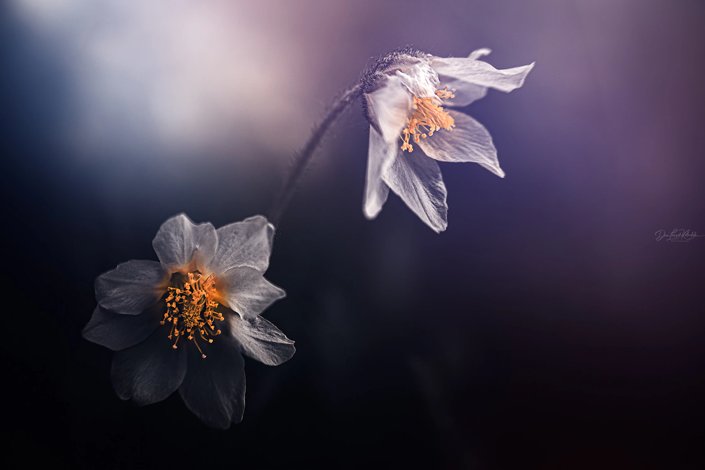 September afternoon...