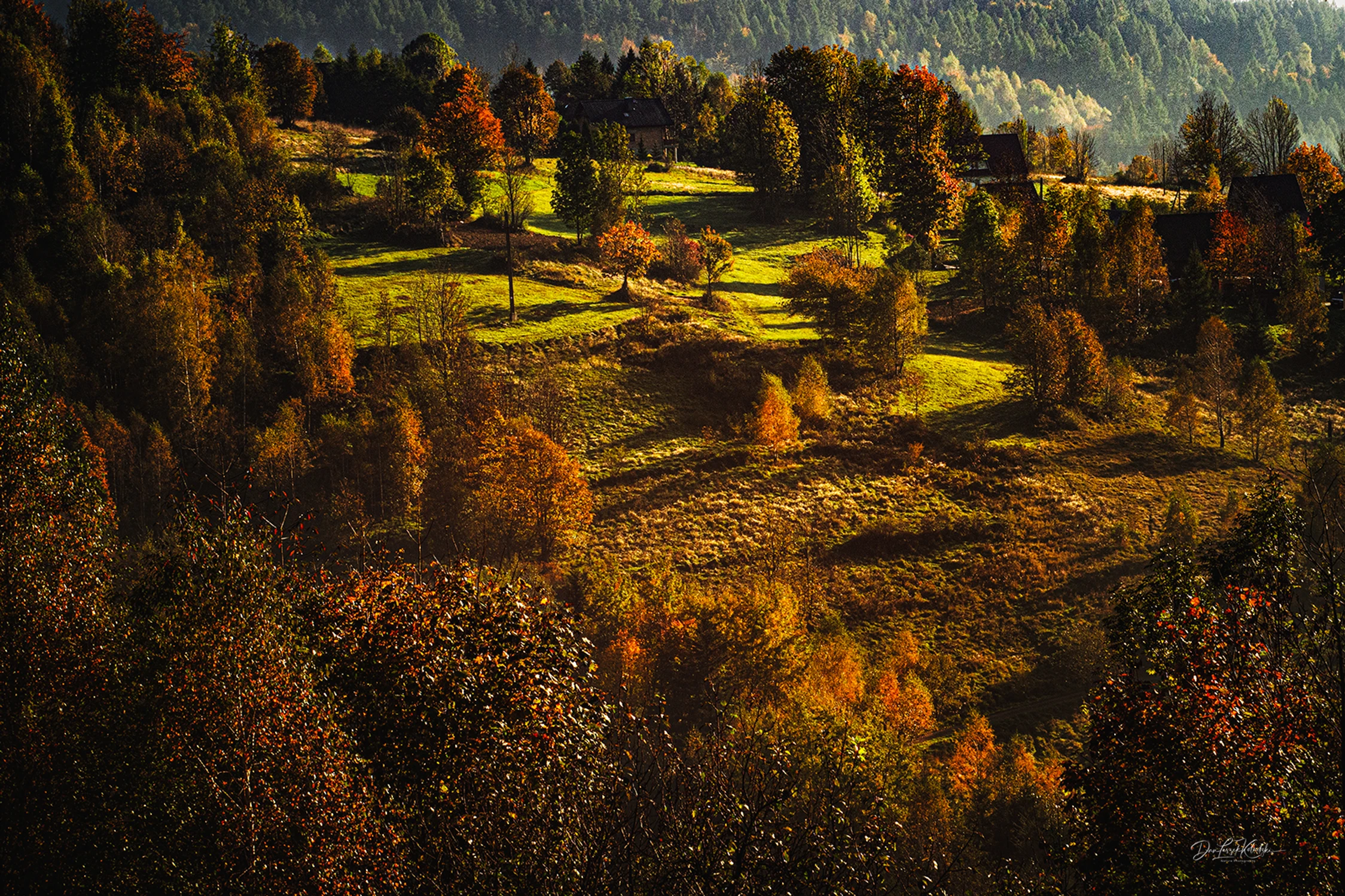 Autumn colors, light and shadows...