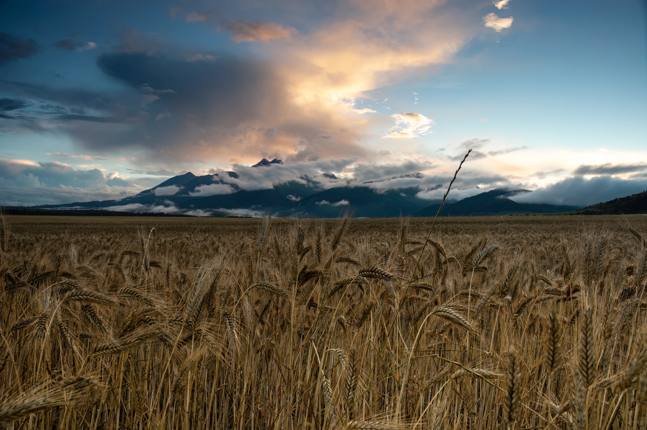 Tatry w zachodzącym słońcu. 