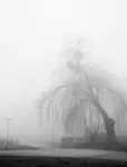 Silent Hill