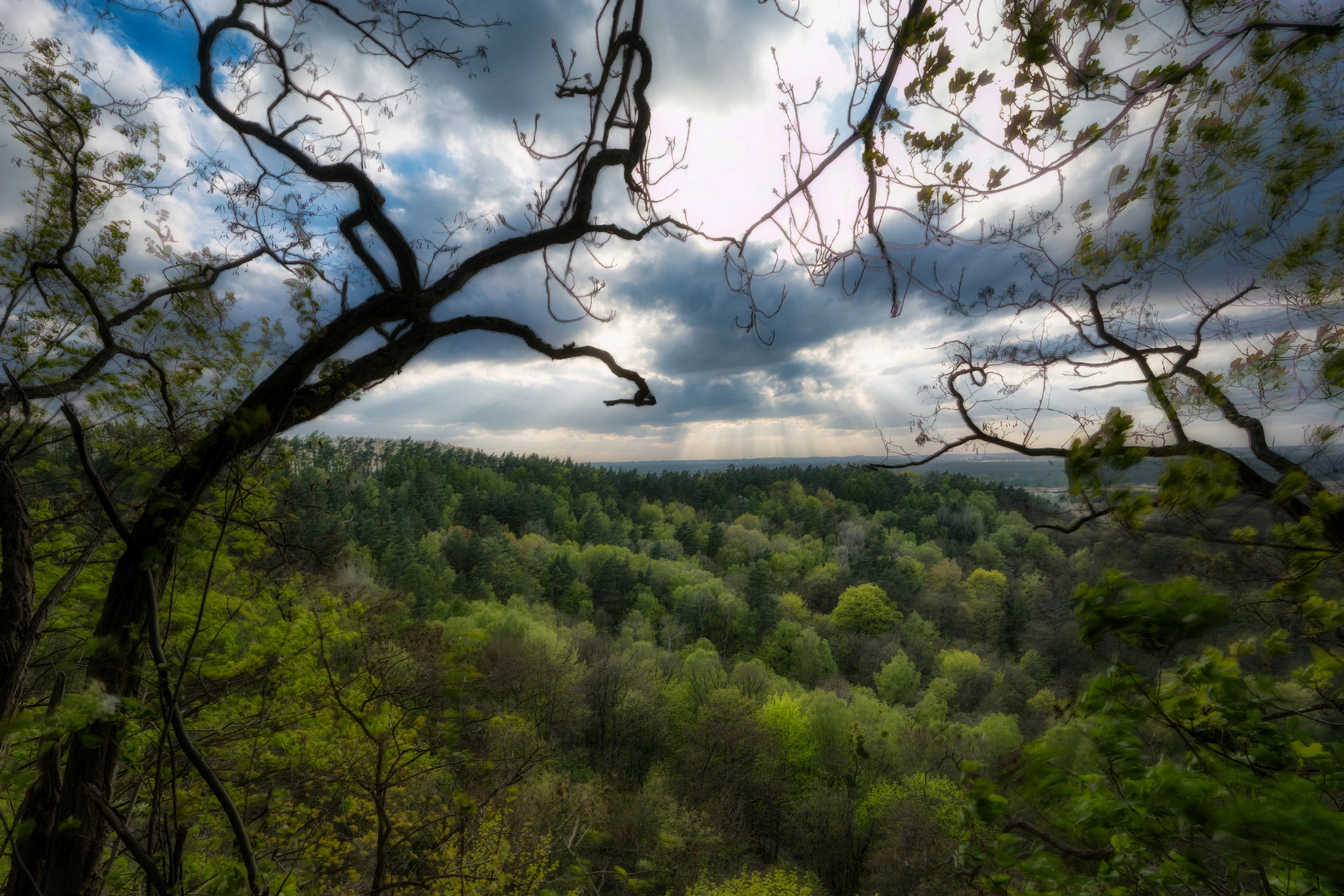 Na wichrowym wzgórzu