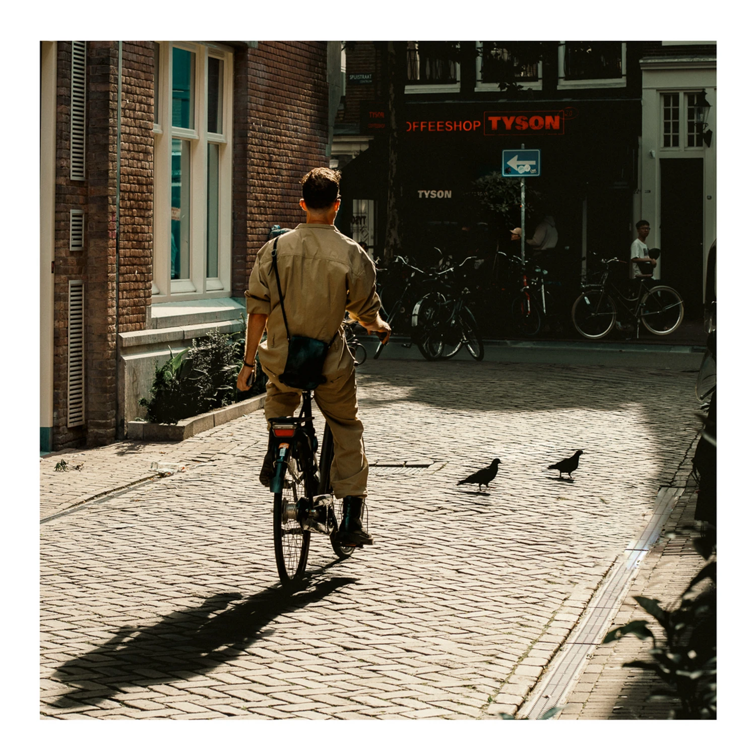 Bikes and Pigeons