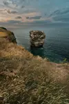Mewy i kormorany na Marsden Rock