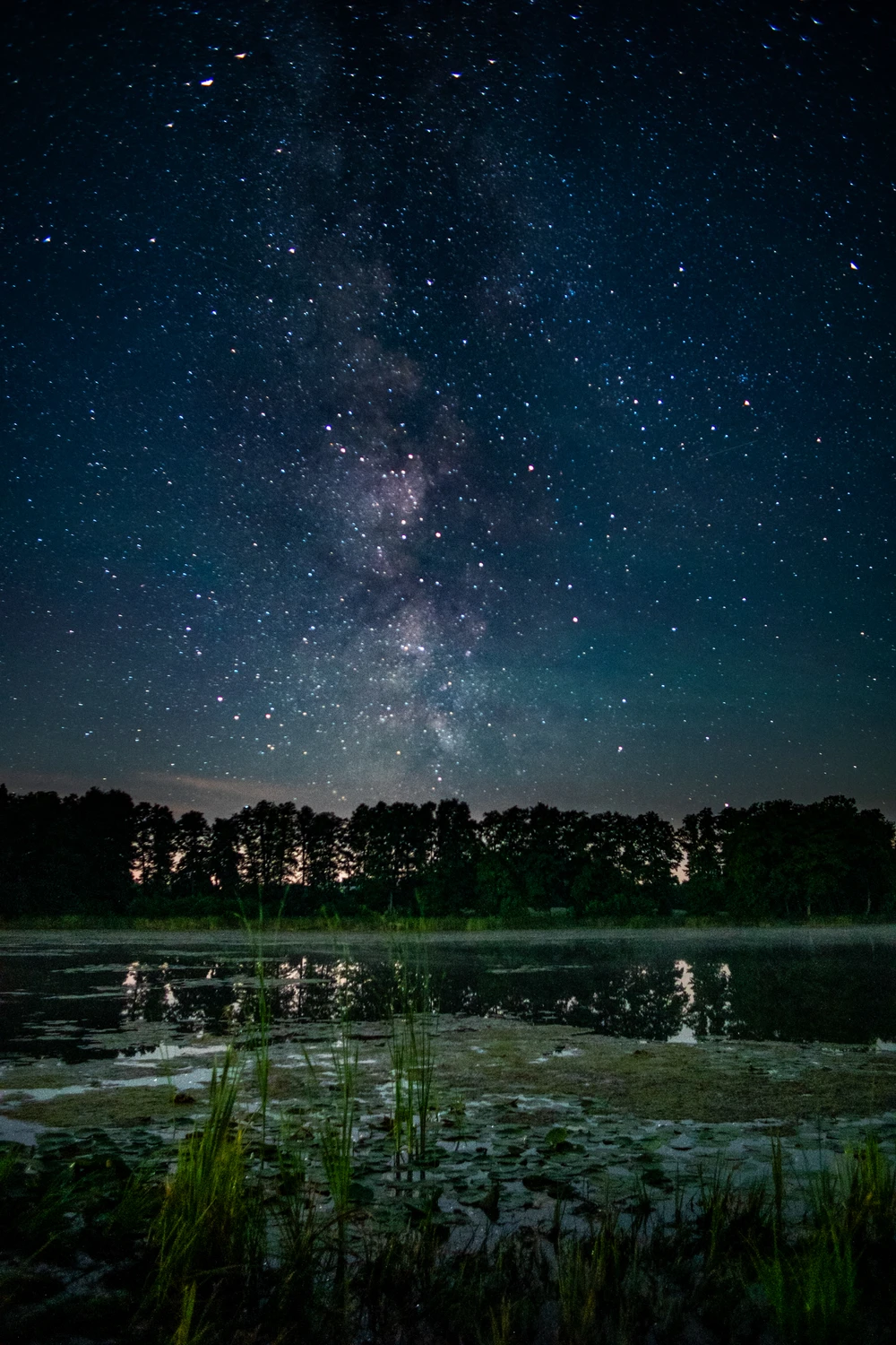 Między trzciną a gwiazdami