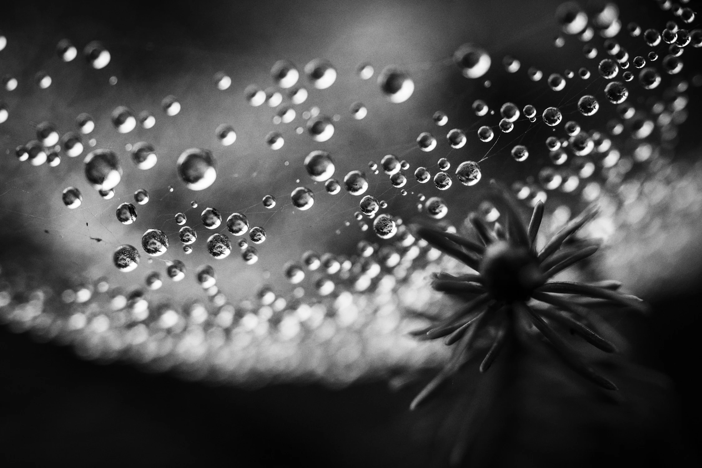 Kryształowe punkty skupienia