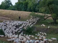 nad rzeką
