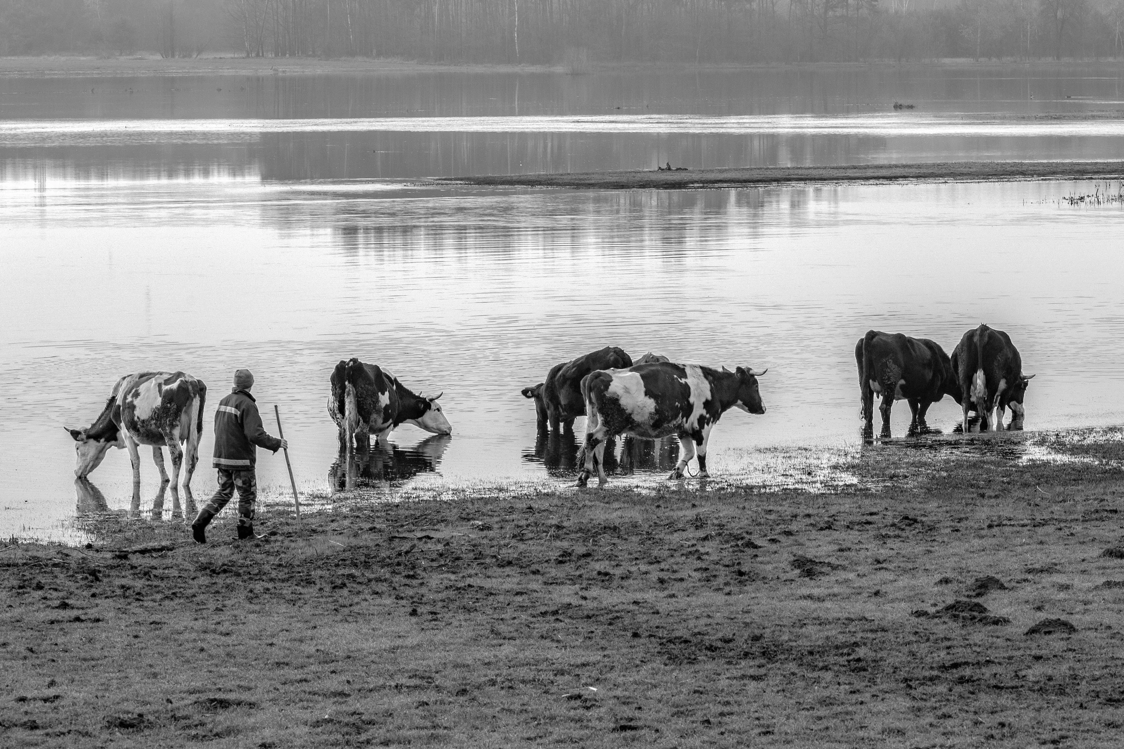 podlasie