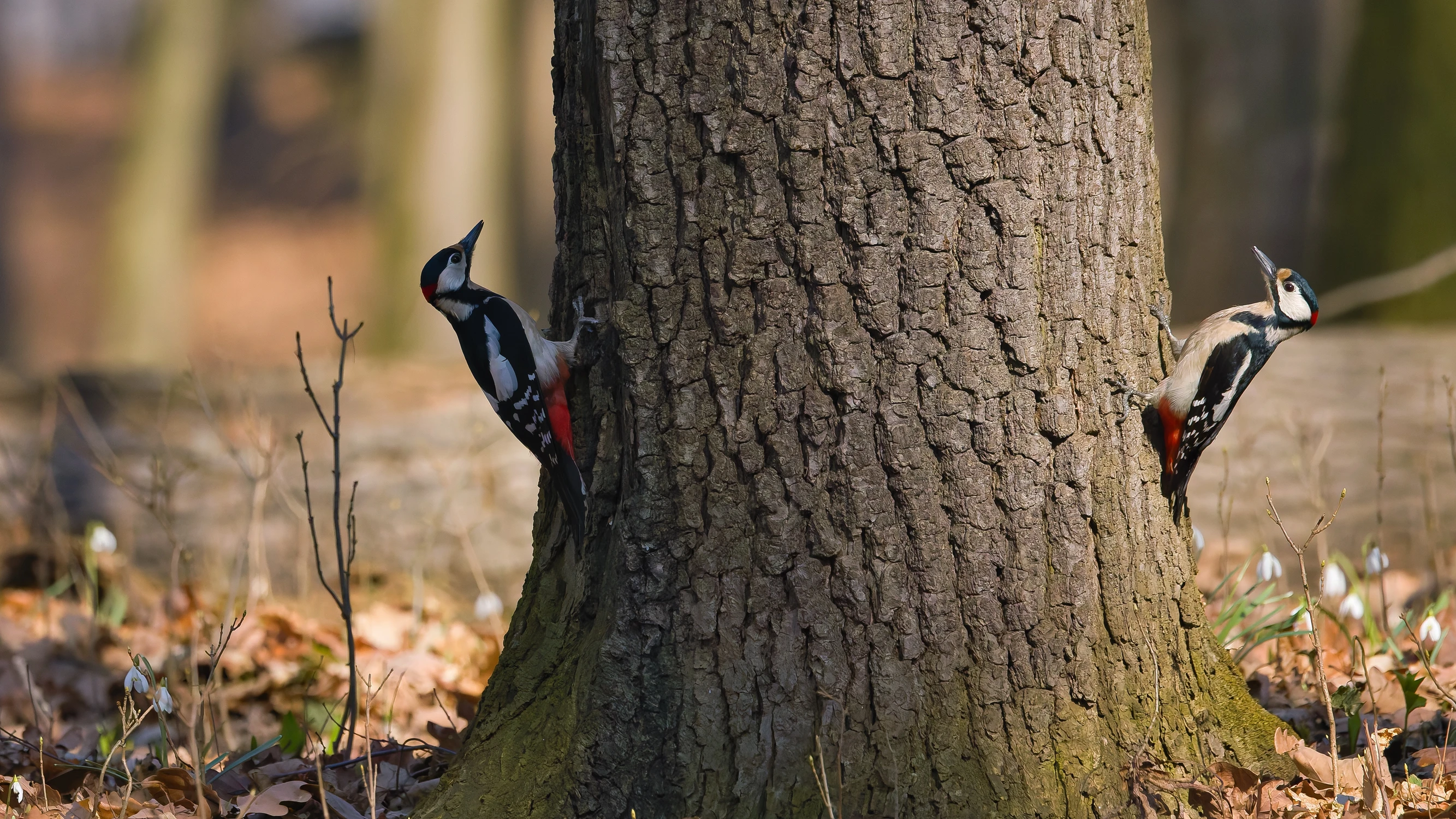 co dwóch to nie jeden :)