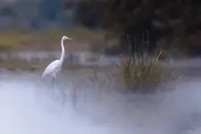 Powiew jesieni 