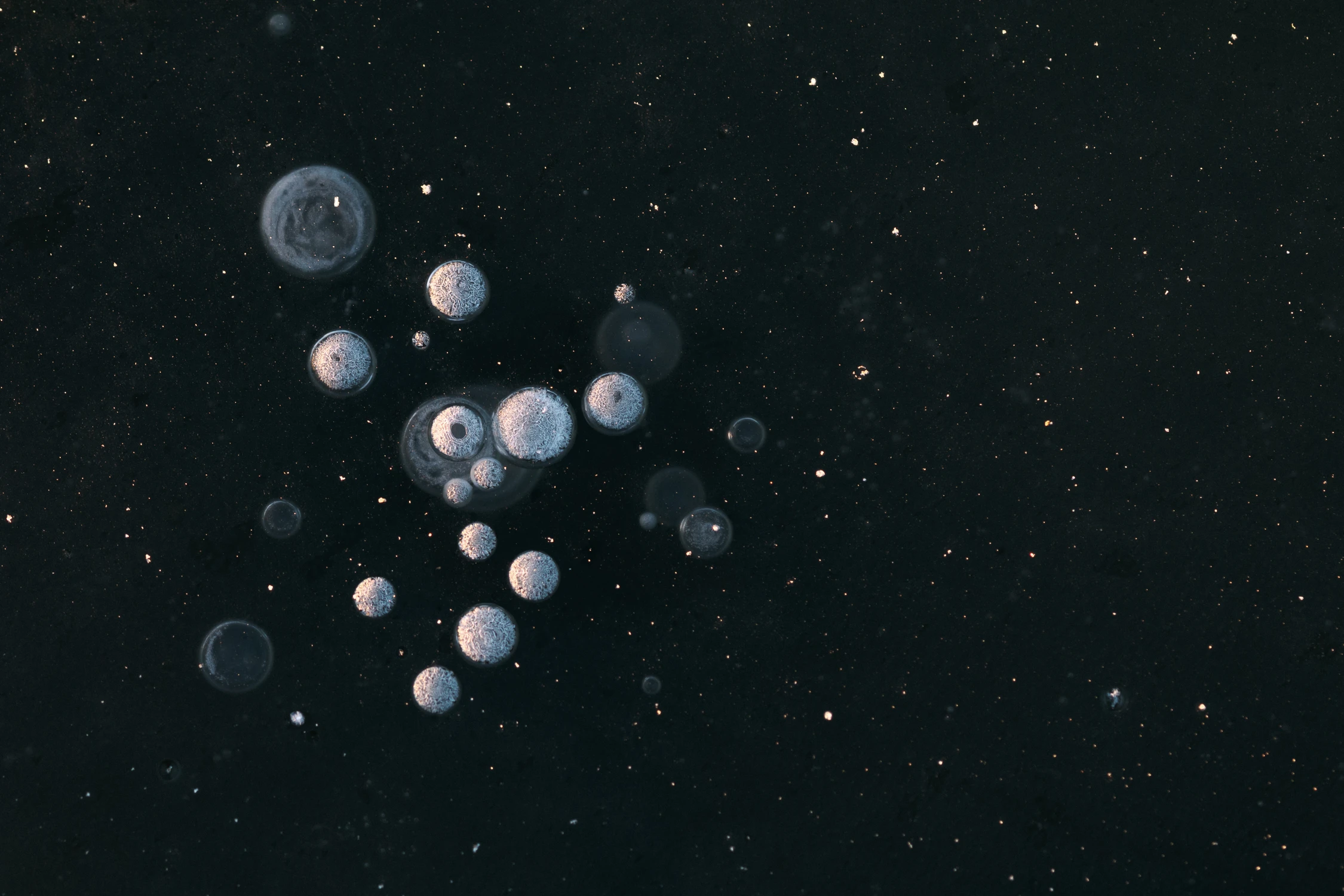 A planety szaleją...