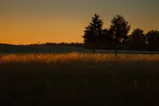 Widok z krzyżem
