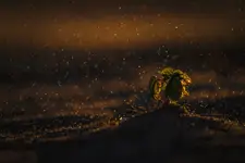 Zawierucha part 2