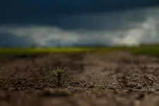 Na polnej drodze