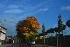 magia jesieni