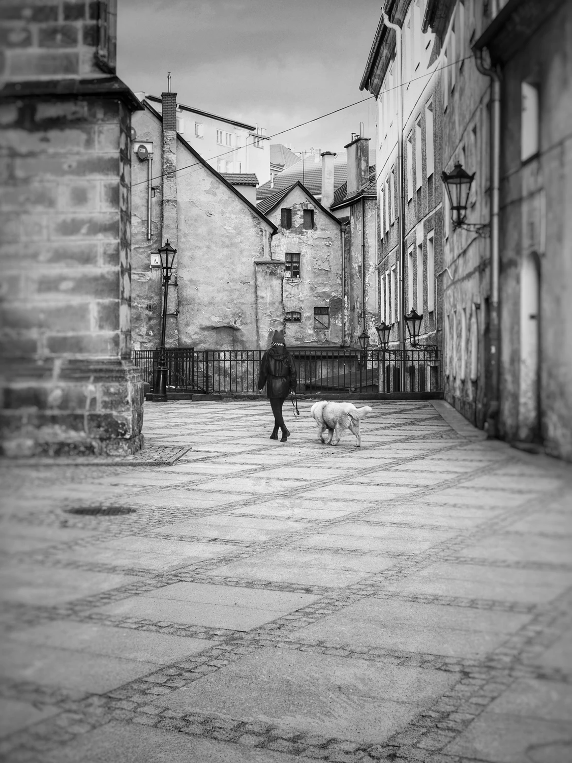 Posłusznie za swoją panią 