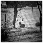 Dzień dobry sąsiadko;)