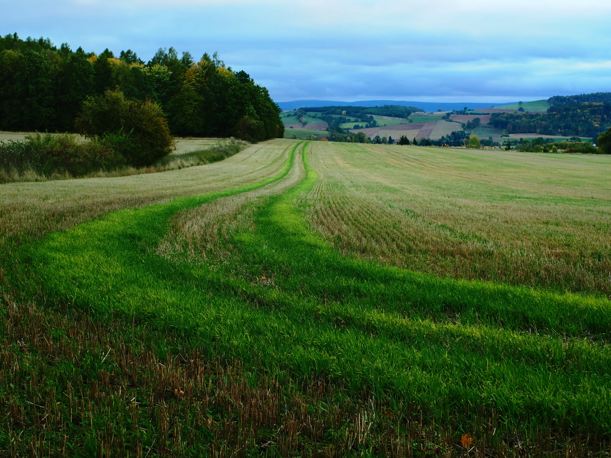 Green road