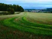 Green road