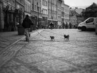 A ja tędy nie chcę 