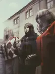 Witrynowa piękność 2