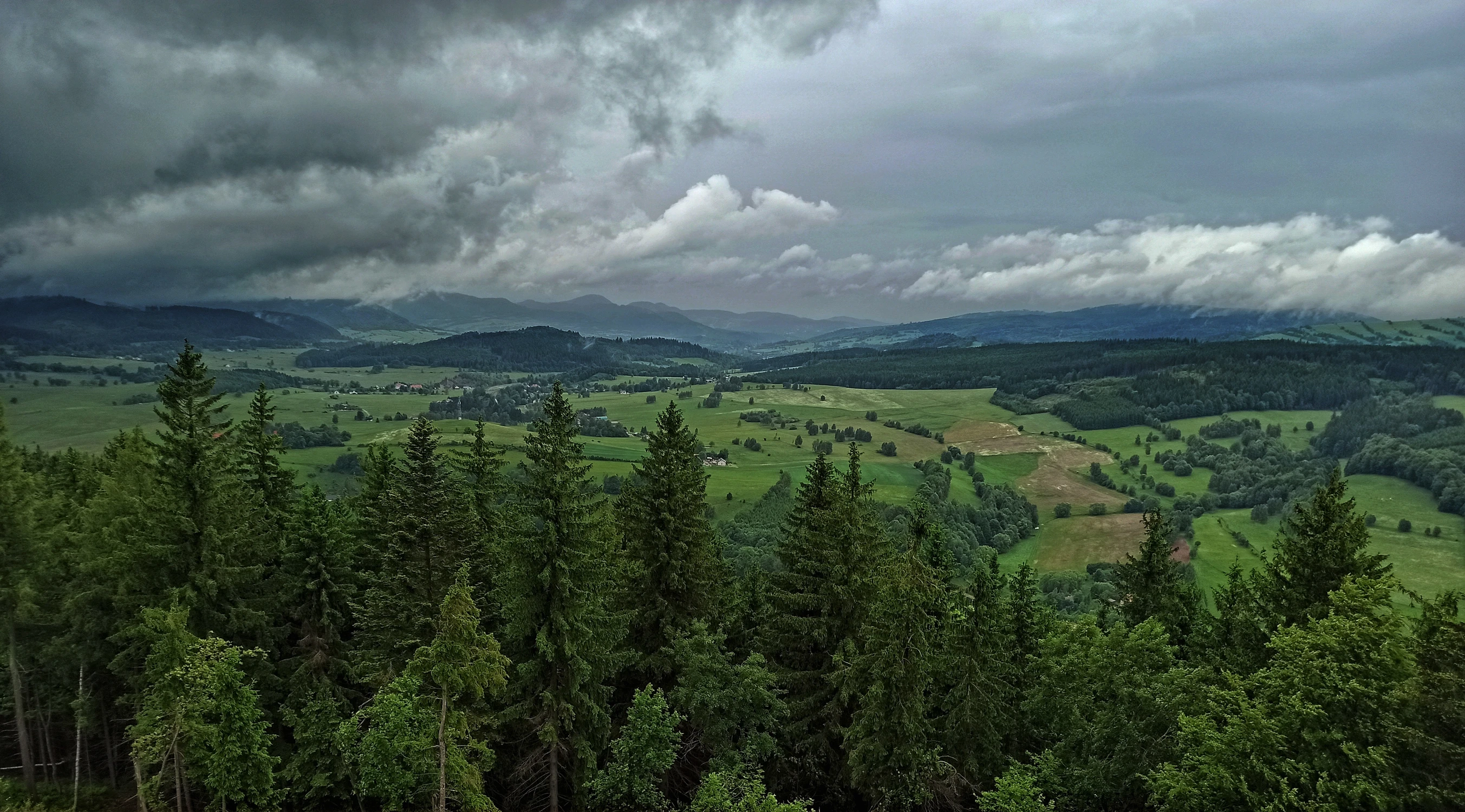 Widok z wieży widokowej na Włodzickiej Górze