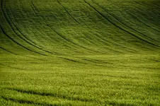 Poprawione