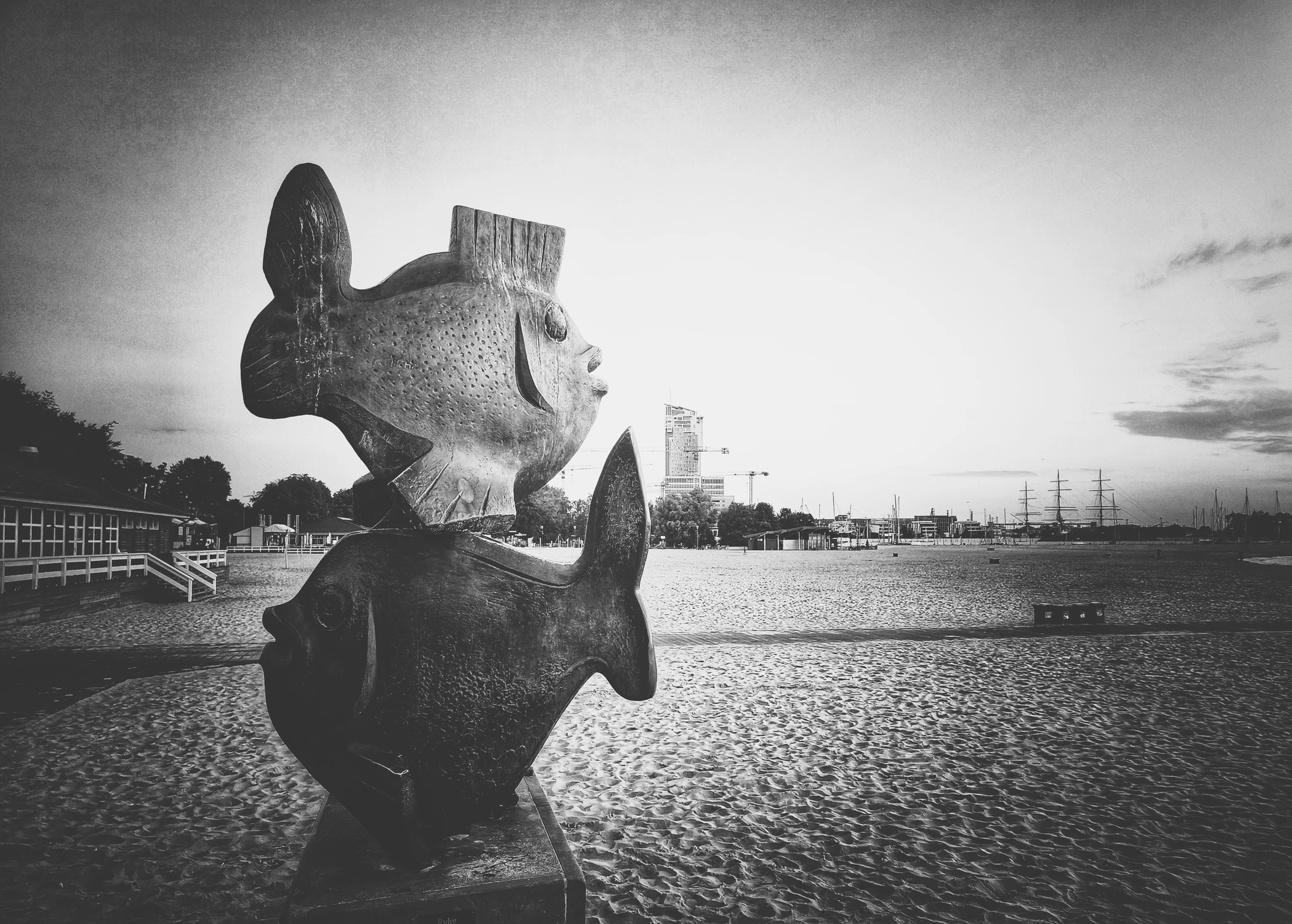 Rybki na plaży 
