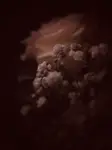 Niepozorna gipsówka
