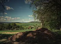 Podziwiając widoki