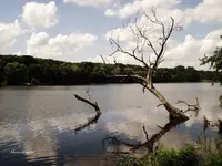 nad Rusałką