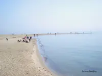 Jedno_