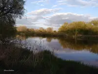 miejska rzeka