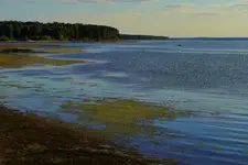wooody, wooody.....